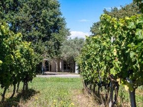 Au détour des vignes